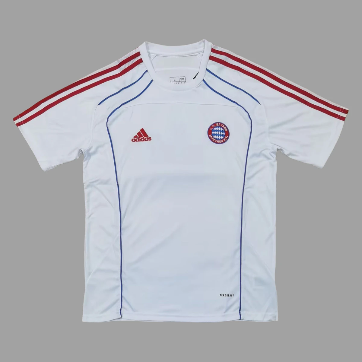25/26 Bayern Munich Urban Purist T-Shirt