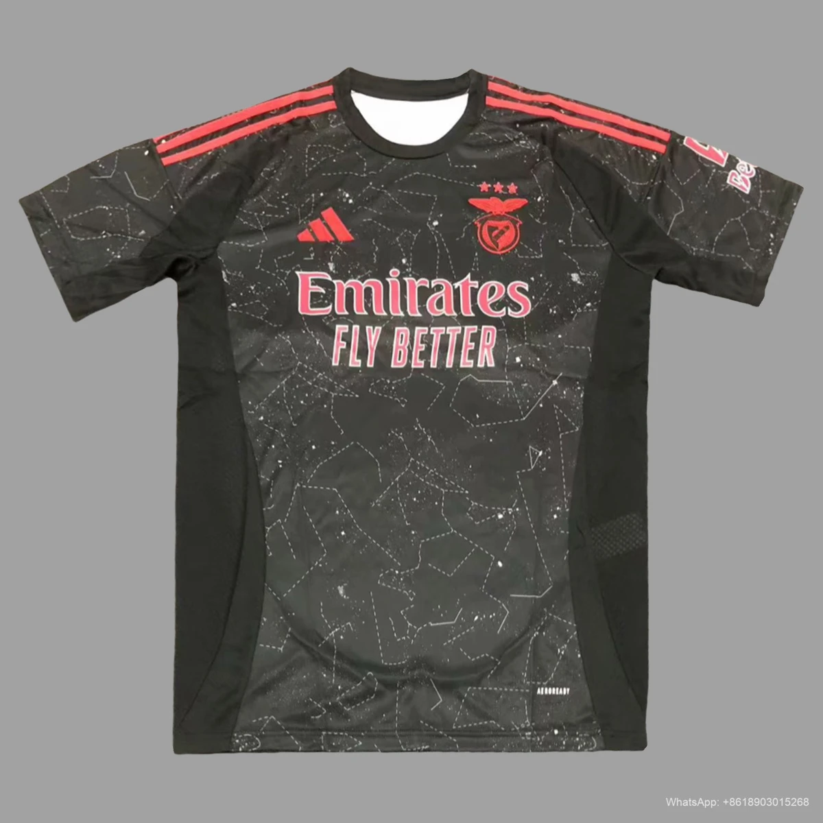 24/25 Benfica Away Soccer Jersey