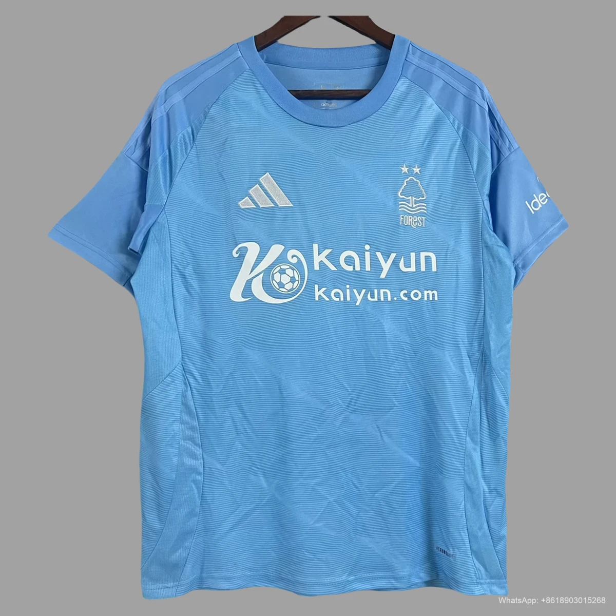 24/25 Nottingham Forest Third Soccer Jersey