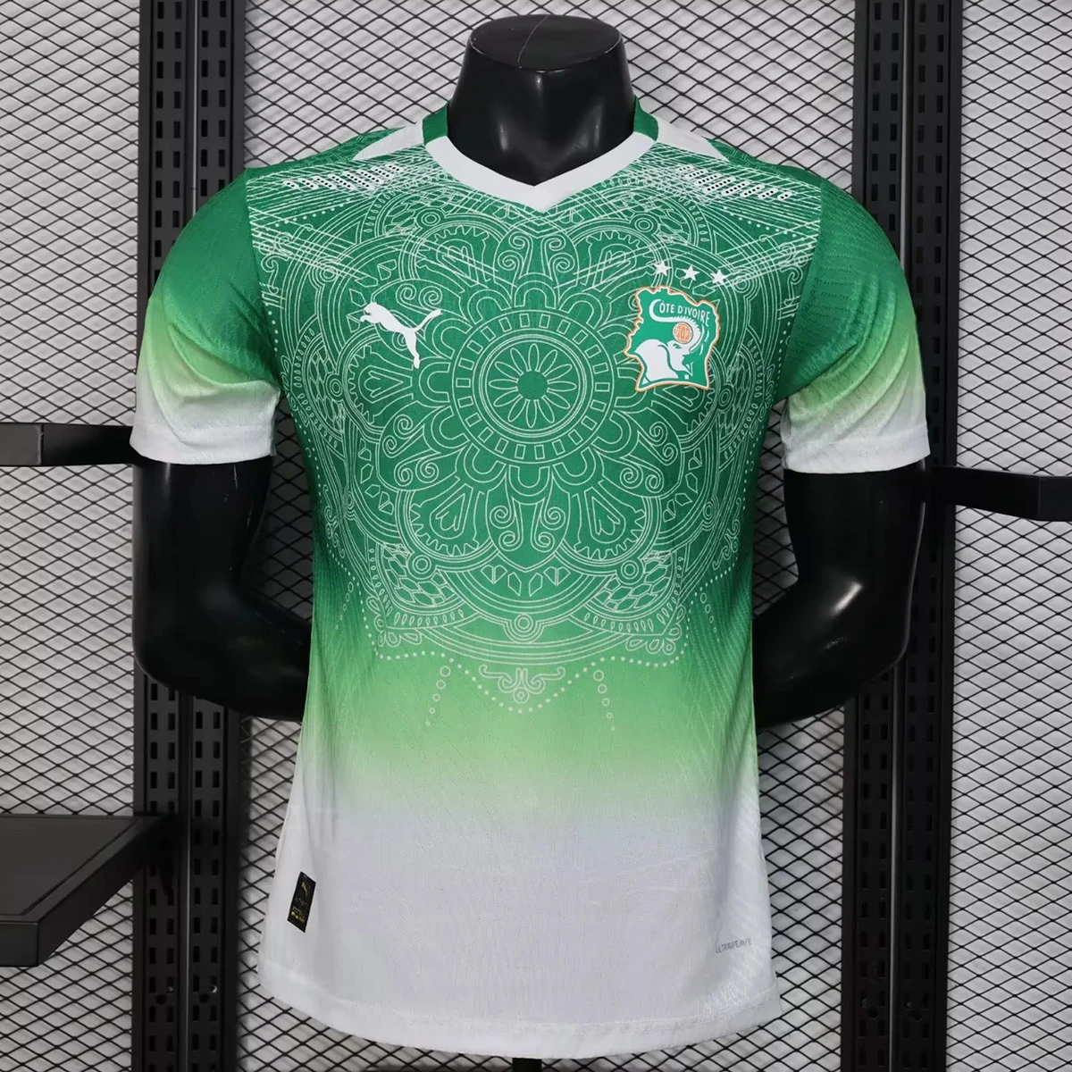 2026 Ivory Coast Special Version Green Player Version Soccer Jersey