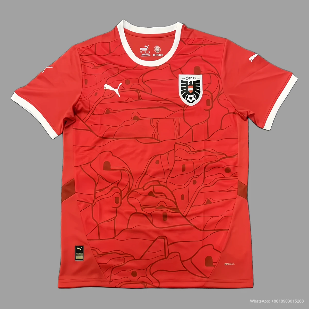 2024 Austria home soccer jersey Size S-4XL
