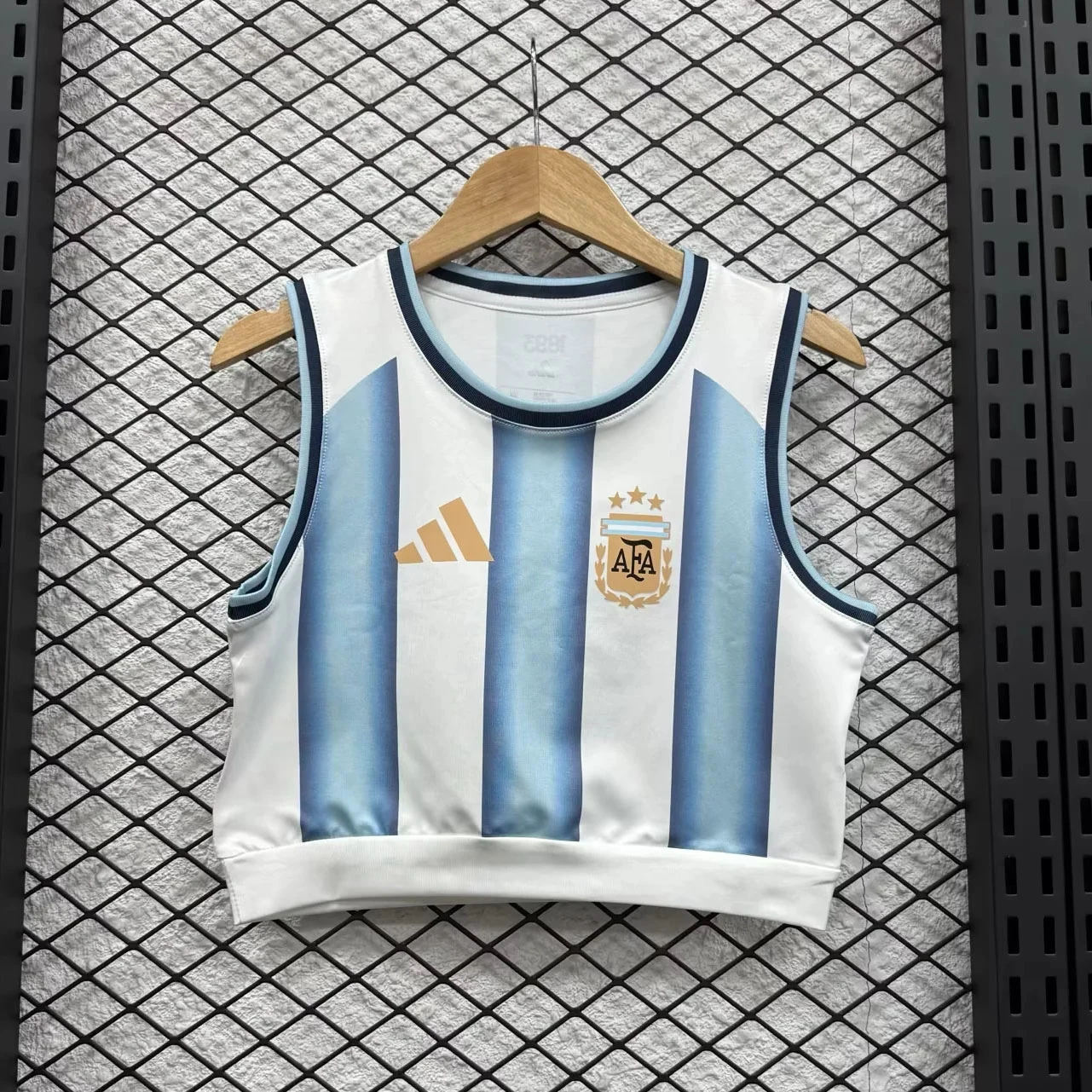 2026 Argentina Home Crop Top